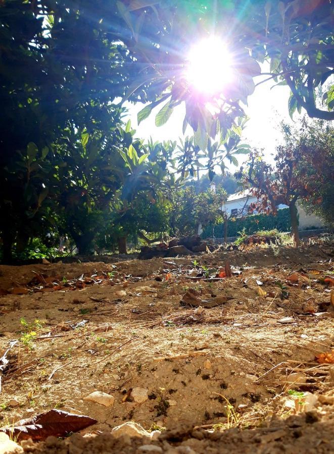 La Caseta Benimantell Buitenkant foto